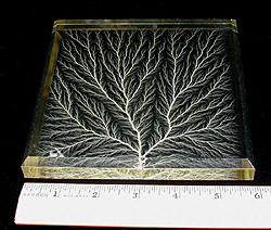 Large_VTree