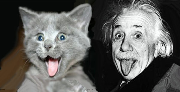 Einstein's Cat