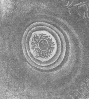 Negative Lichtenberg Figure
