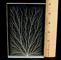 6" Center Lichtenberg