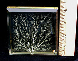 Beveled Edge