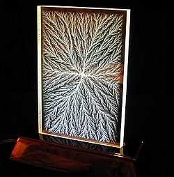 Illuminated Interior Tree