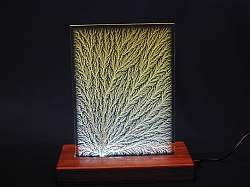 Dendritic Interior Discharge