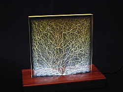 Chaotic and Dendritic