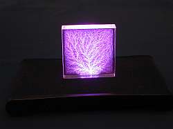 Bushy Discharge, Blue light