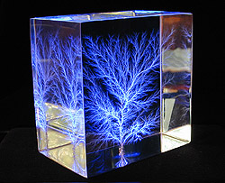 Combination Tree, LED-lit