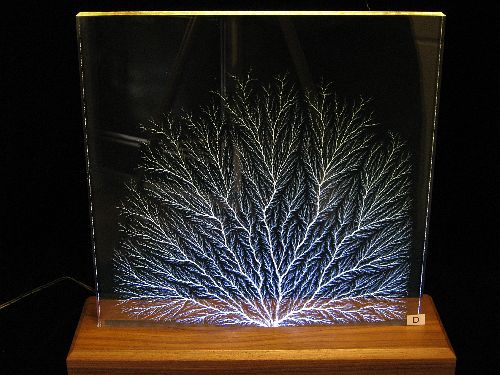 Specimen D