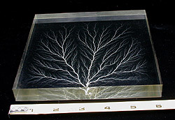 6 x 6 square edge