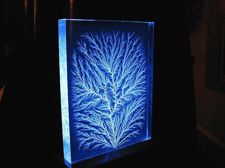 13.5" x 17.75" Specimen #2