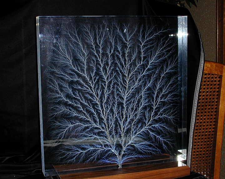 17.63" x 17.75" Taken with Flash