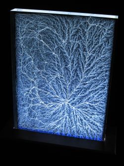 Huge Double-Layer 15x20x2" Sculptures