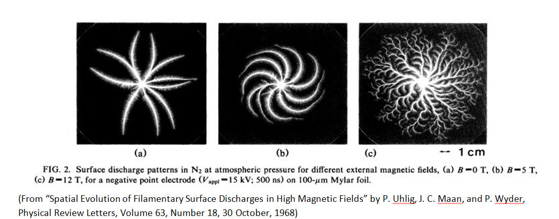 Magnetic field effect on Lichtenberg Figures